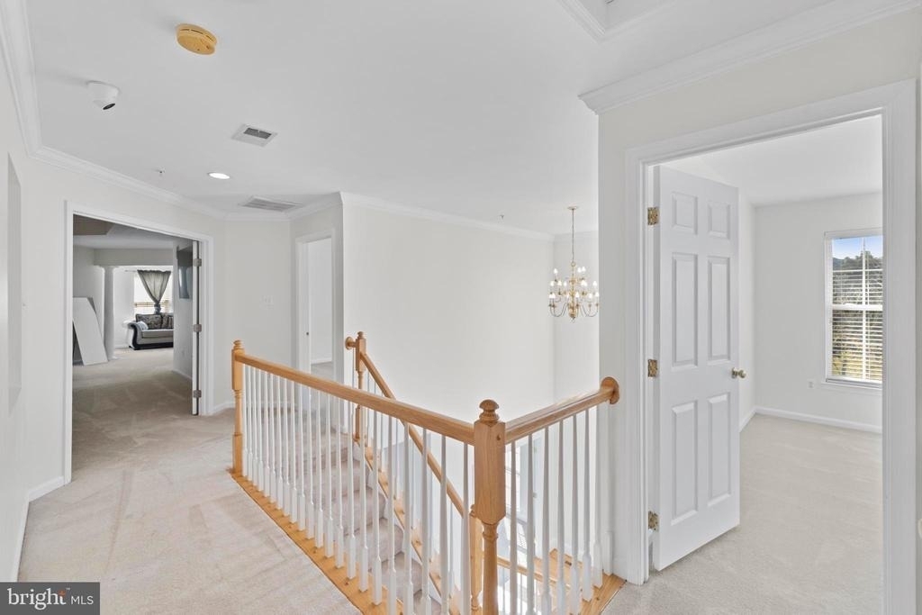 8008 Dorado Terrace - Photo 24