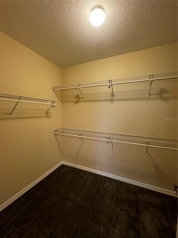 8264 Maritime Flag Street - Photo 15