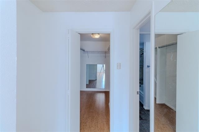 4859 Cedar Springs Road - Photo 10