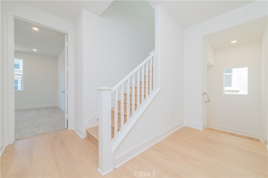 446 Lobata - Photo 14