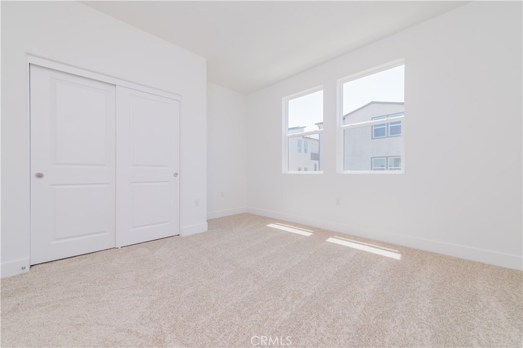 446 Lobata - Photo 17