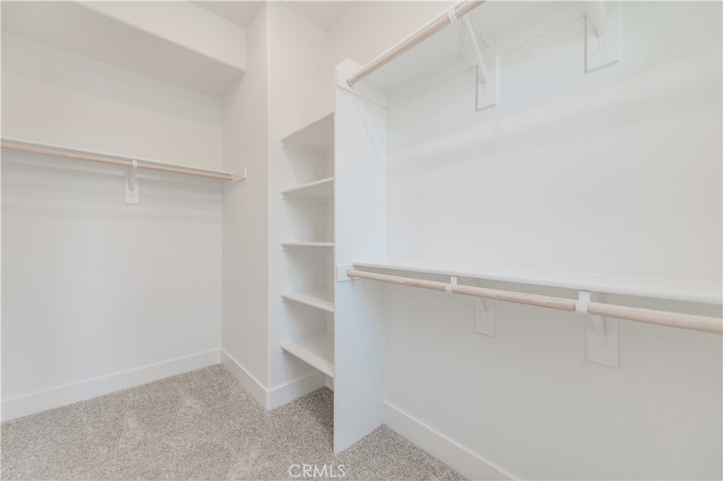 446 Lobata - Photo 24