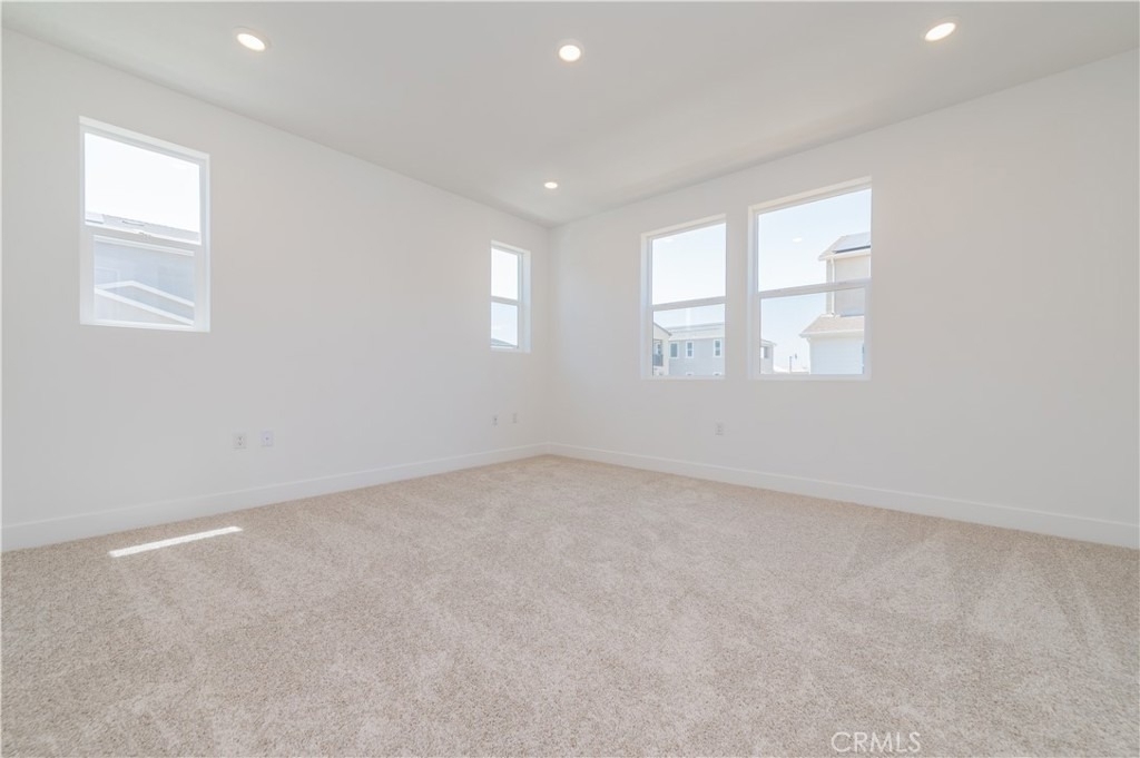446 Lobata - Photo 19