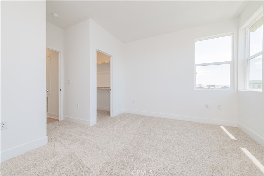 446 Lobata - Photo 31