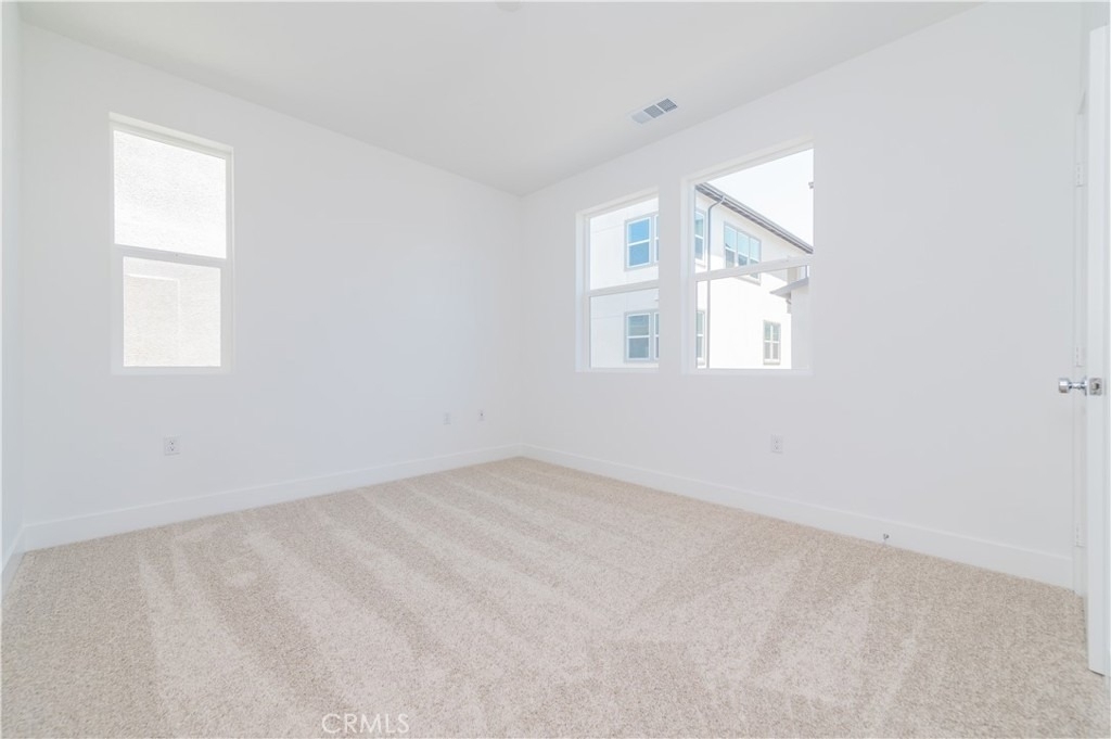 446 Lobata - Photo 15