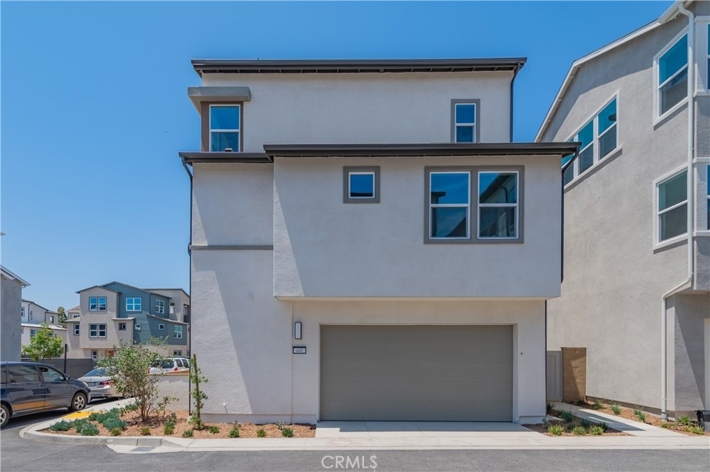 446 Lobata - Photo 1