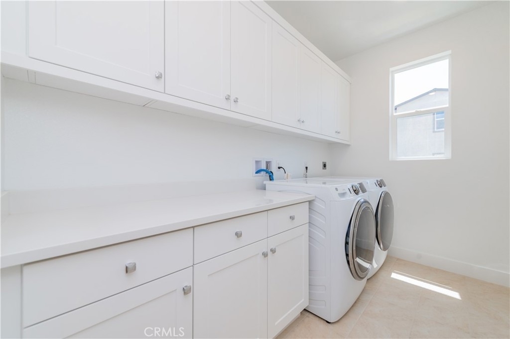 446 Lobata - Photo 16