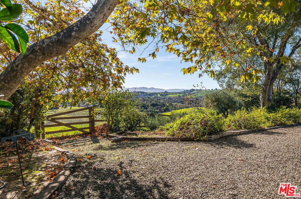 2975 Calle Bonita - Photo 47