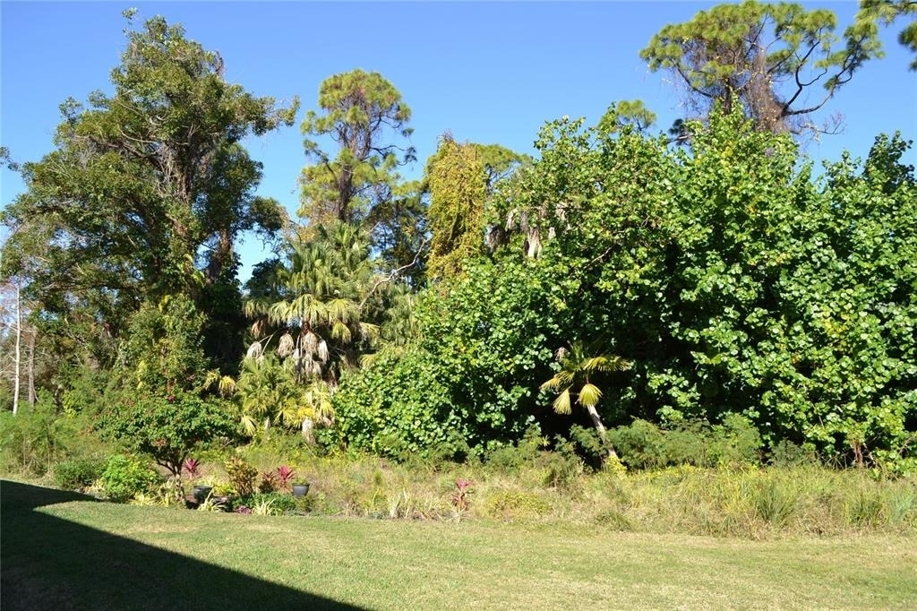 11158 Kapok Grand Circle - Photo 32