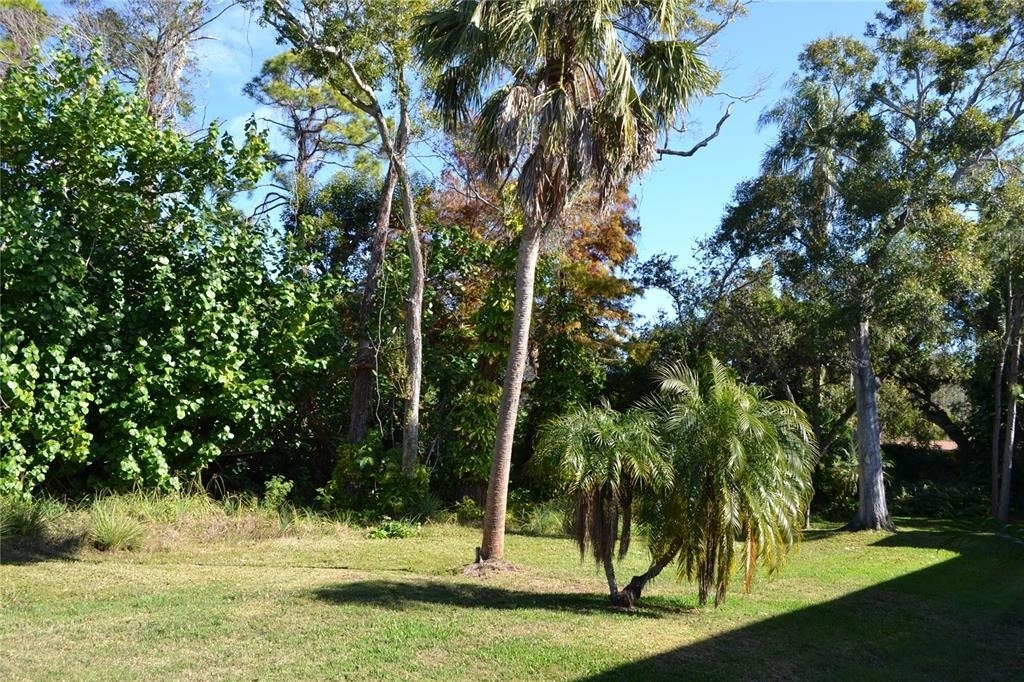 11158 Kapok Grand Circle - Photo 34