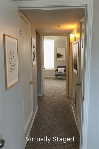 9844 Valley Meadow Court - Photo 8