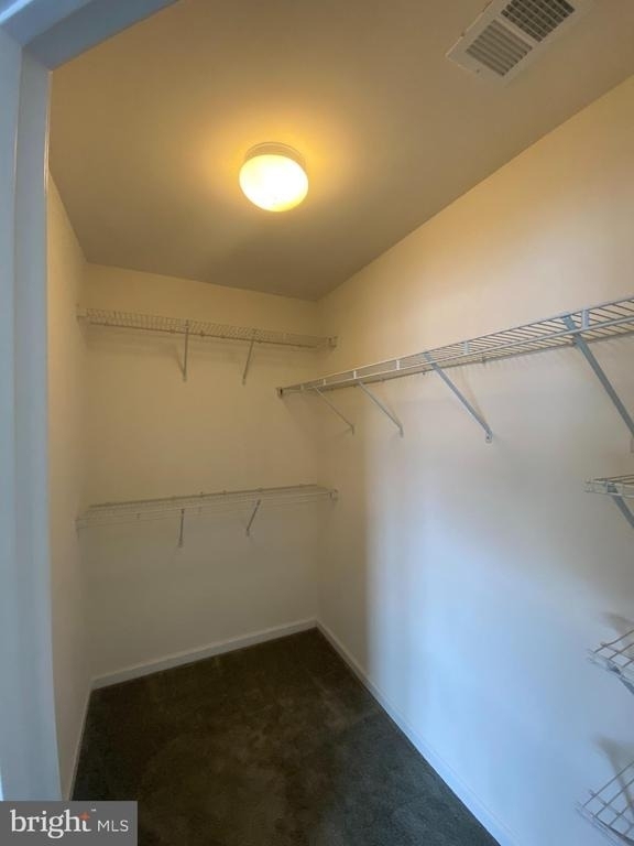 105 Chamomile Court - Photo 7