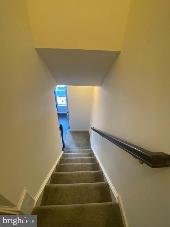 105 Chamomile Court - Photo 10