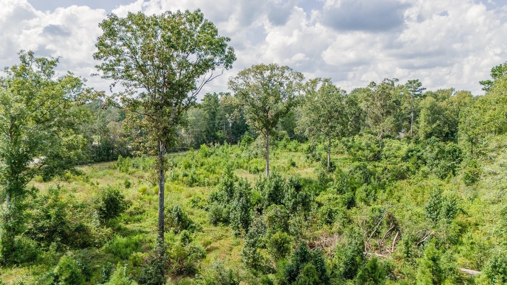 17171 E Fm 1097 Road - Photo 10