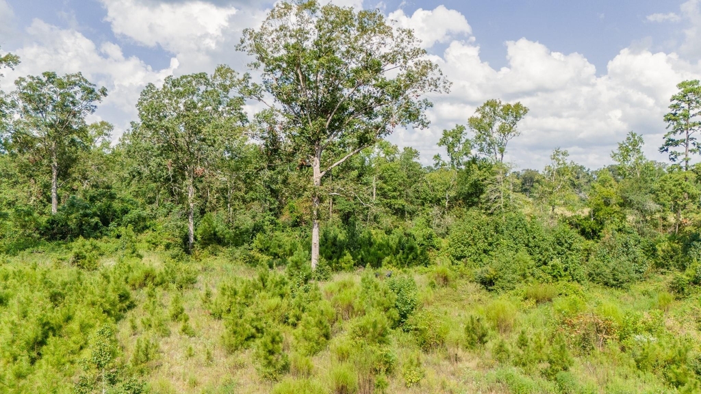 17171 E Fm 1097 Road - Photo 14