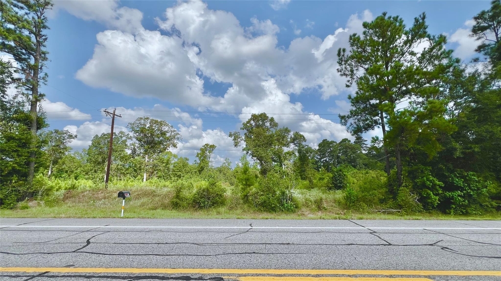 17171 E Fm 1097 Road - Photo 7