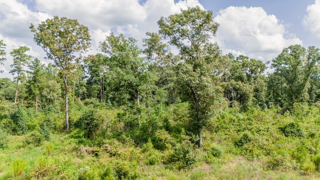 17171 E Fm 1097 Road - Photo 12