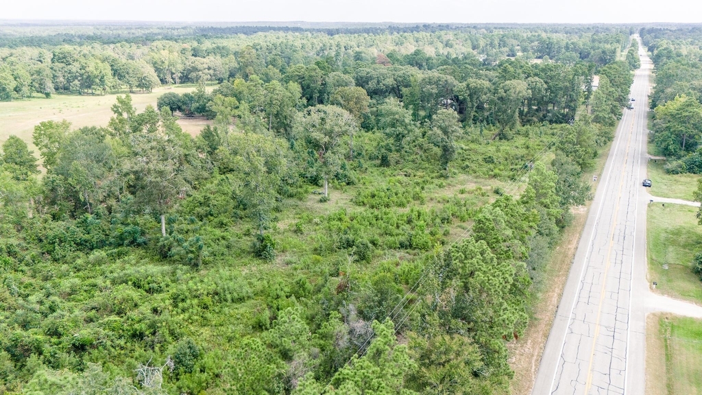 17171 E Fm 1097 Road - Photo 5
