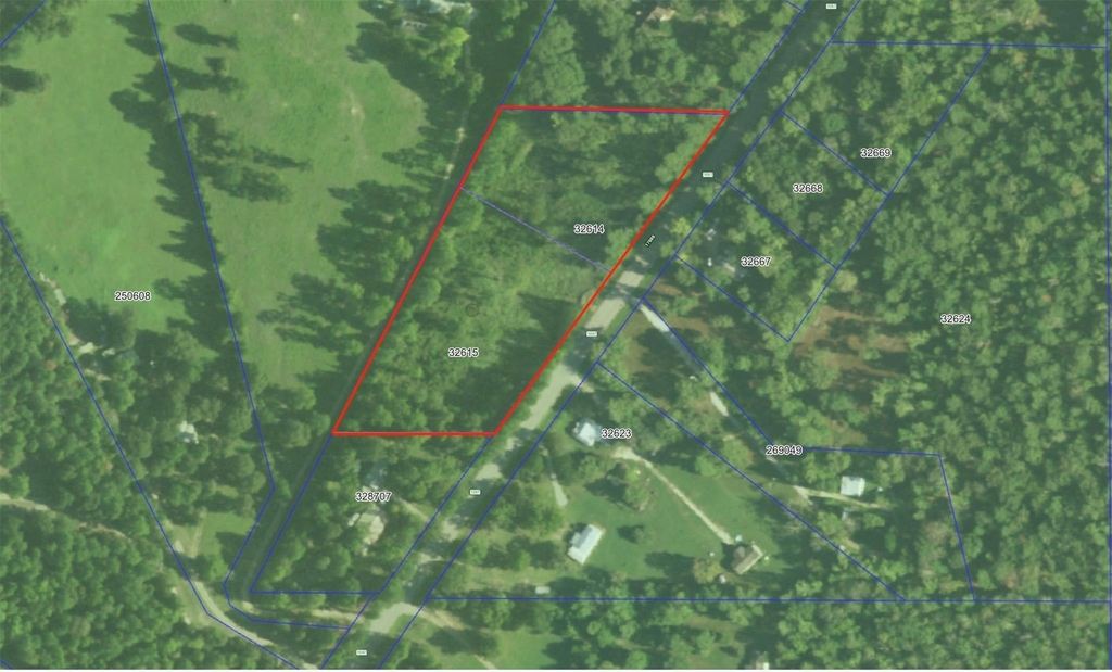 17171 E Fm 1097 Road - Photo 16