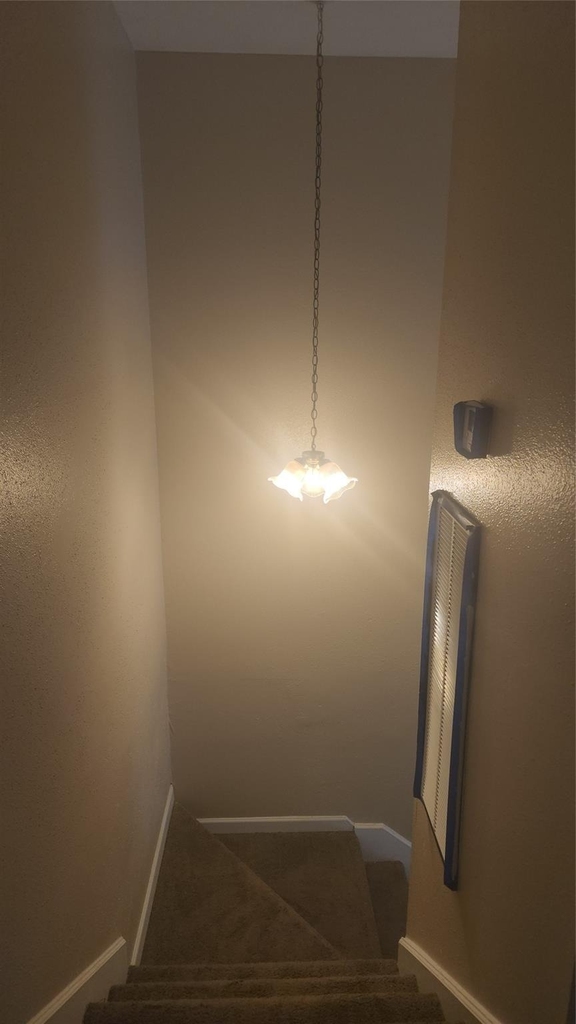 12223 Wild Pine Drive - Photo 1