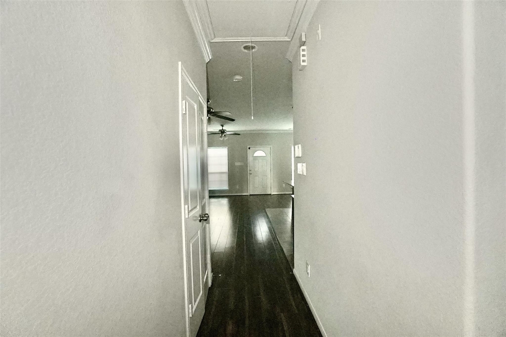 2523 Kirk Street - Photo 7