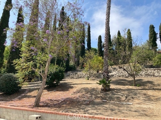 25042 Armagosa Drive - Photo 20