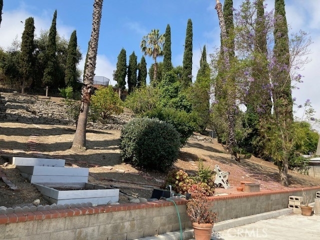 25042 Armagosa Drive - Photo 19