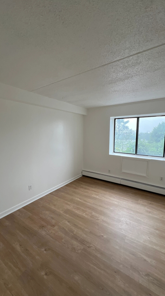 56-11 Clover Place - Photo 9