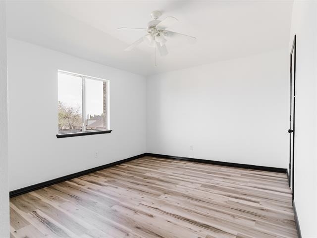 1733 Elm Street - Photo 14