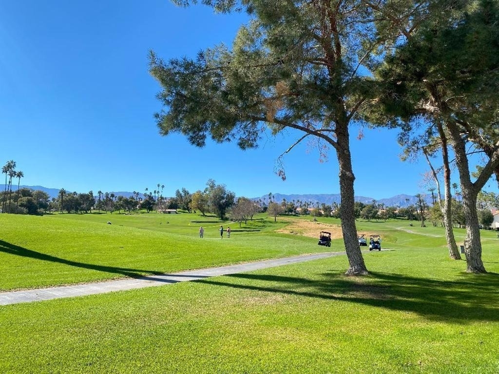 413 Desert Falls Drive N - Photo 29