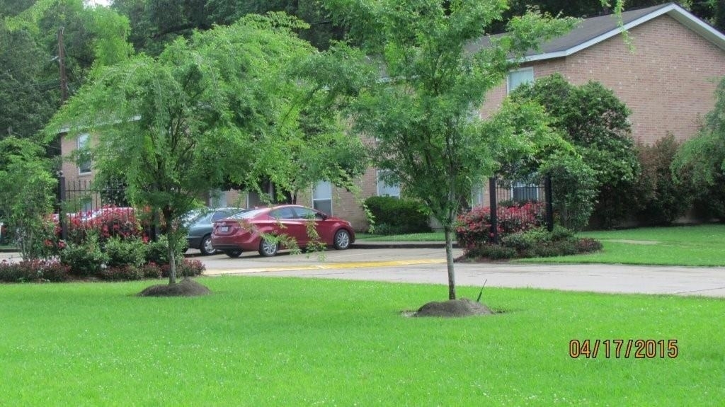 16161 Tiger Bend Road - Photo 4