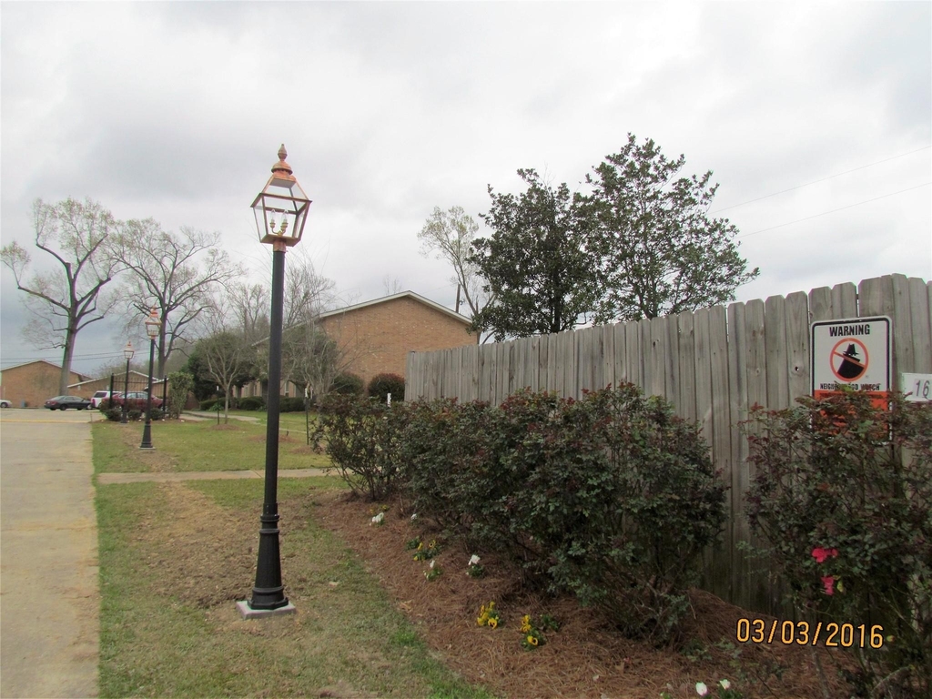 16161 Tiger Bend Road - Photo 7