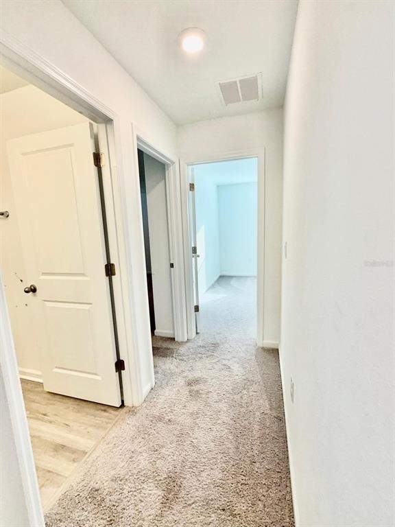 1209 Mattie Pointe Boulevard - Photo 32