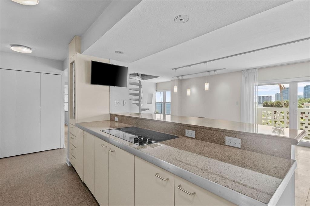 2401 Bayshore Boulevard - Photo 2
