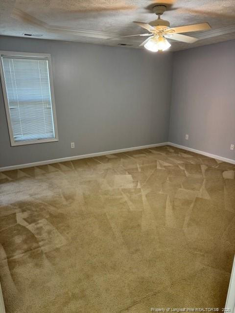 5340 Miranda Drive - Photo 8