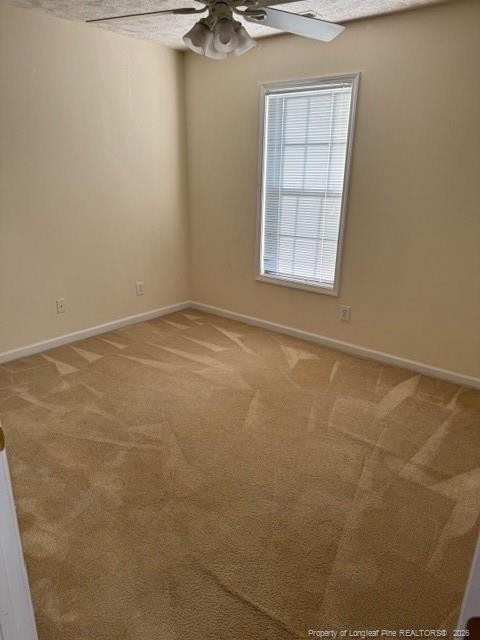 5340 Miranda Drive - Photo 13