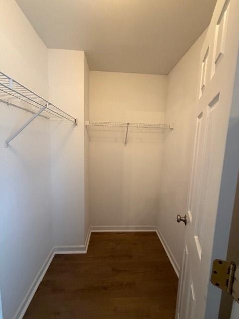 102 Lexington Parke Drive - Photo 16