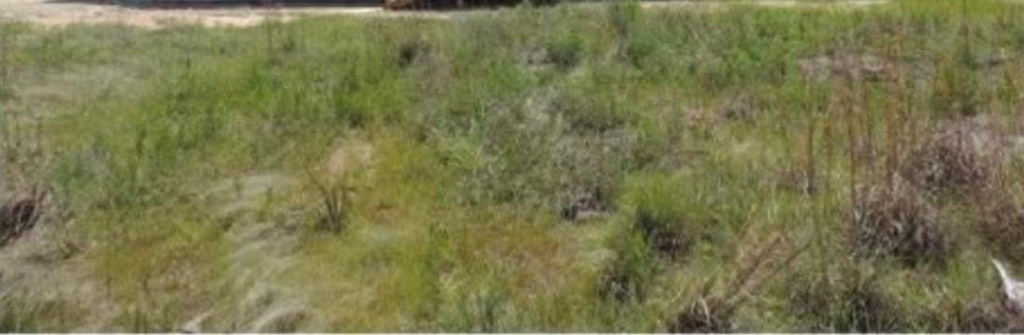 1540 Road 5860 - Photo 1