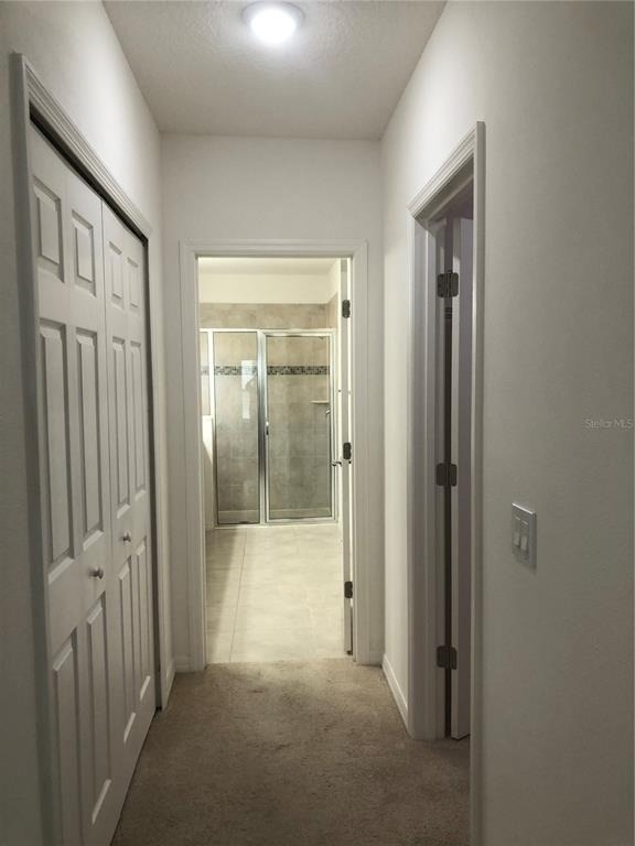3211 Silver Fin Way - Photo 9