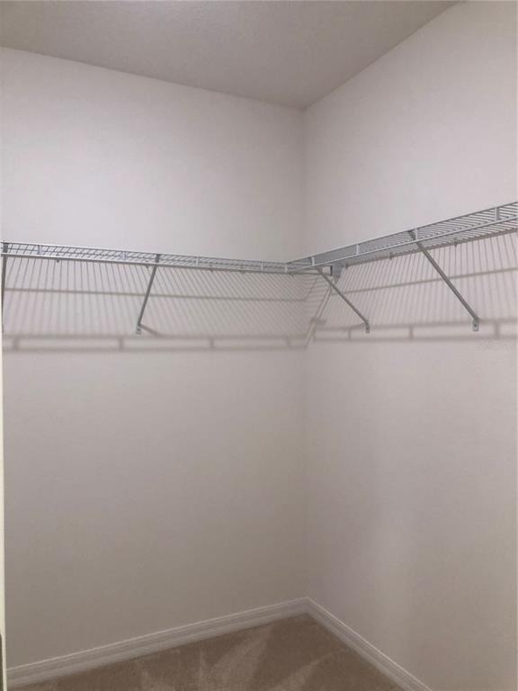 3211 Silver Fin Way - Photo 11