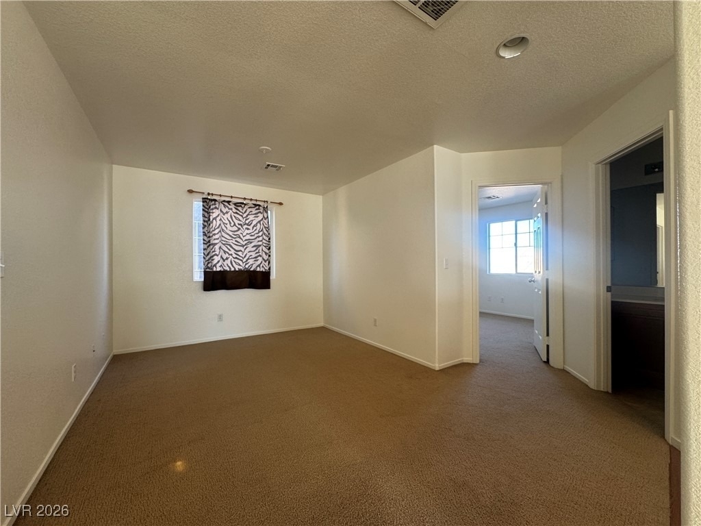 1703 Paradise Reef Avenue - Photo 23