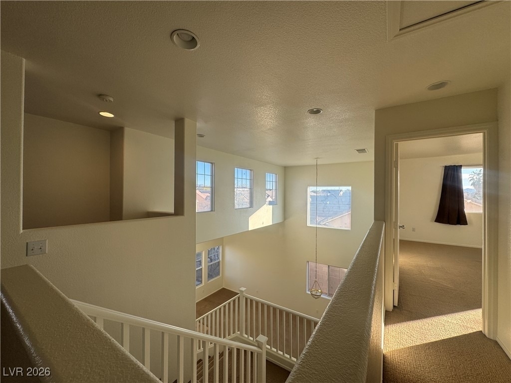 1703 Paradise Reef Avenue - Photo 34