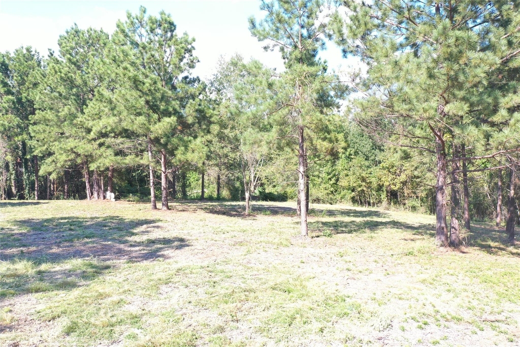 185 S Fm 356 W - Photo 21