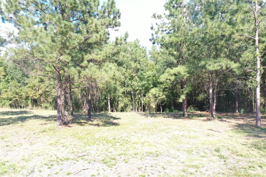 185 S Fm 356 W - Photo 20