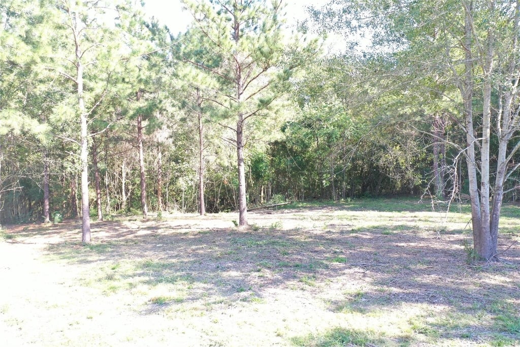 185 S Fm 356 W - Photo 22