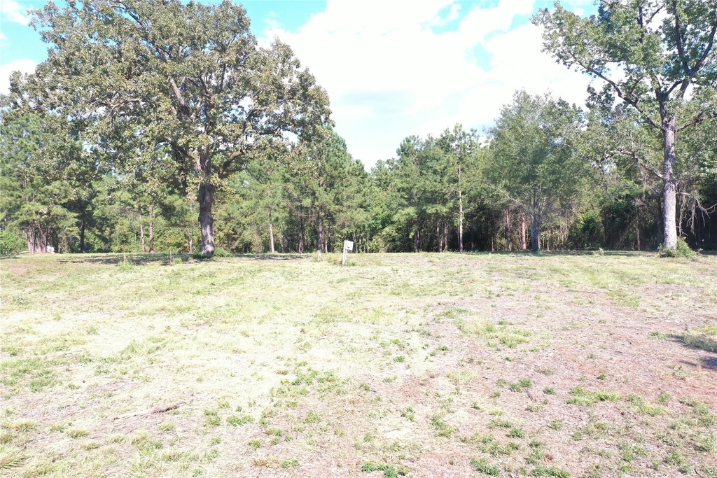 185 S Fm 356 W - Photo 15