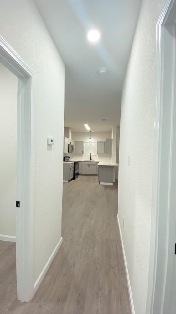 9719 Pelsey Street - Photo 3