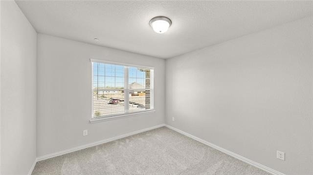 3716 Paradise Way - Photo 14