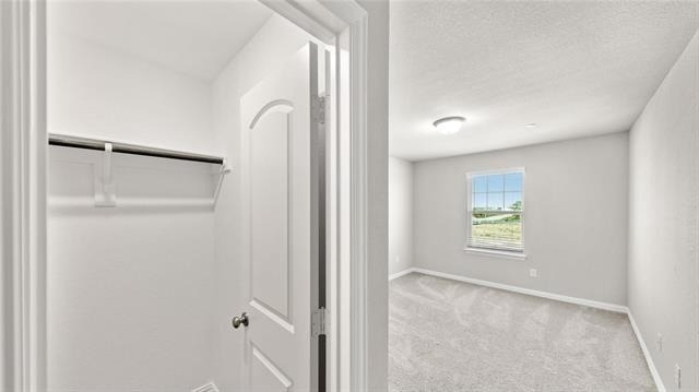 3716 Paradise Way - Photo 15