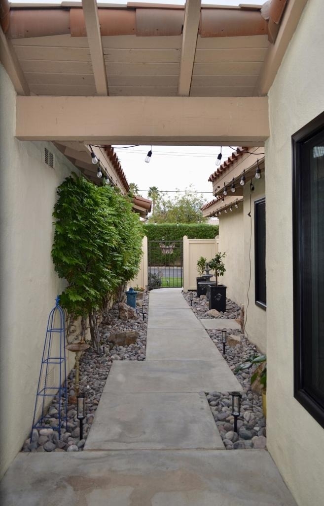 177 Las Lomas - Photo 19